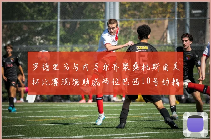 罗德里戈与内马尔齐聚桑托斯南美杯比赛现场助威两位巴西10号的精彩时刻